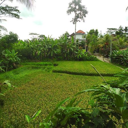 Mandala Hostel Ubud Exteriér fotografie
