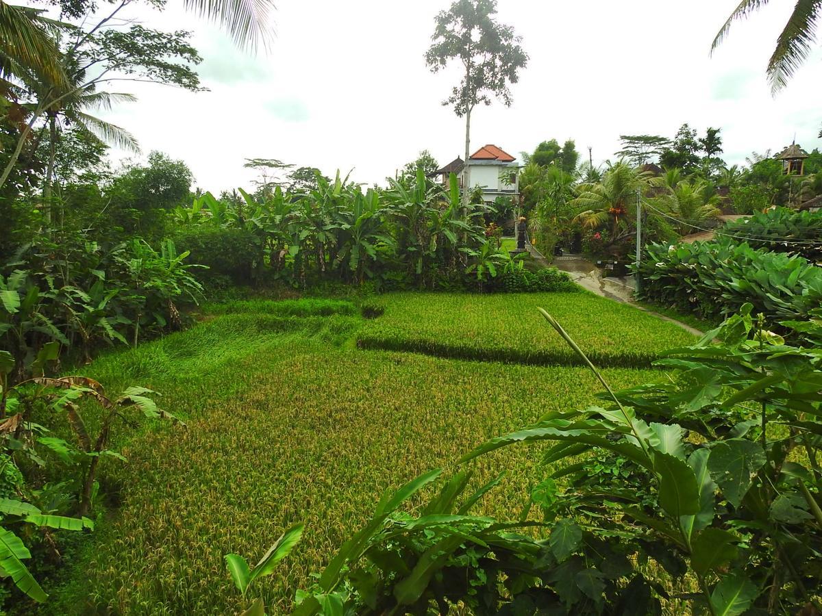 Mandala Hostel Ubud Exteriér fotografie