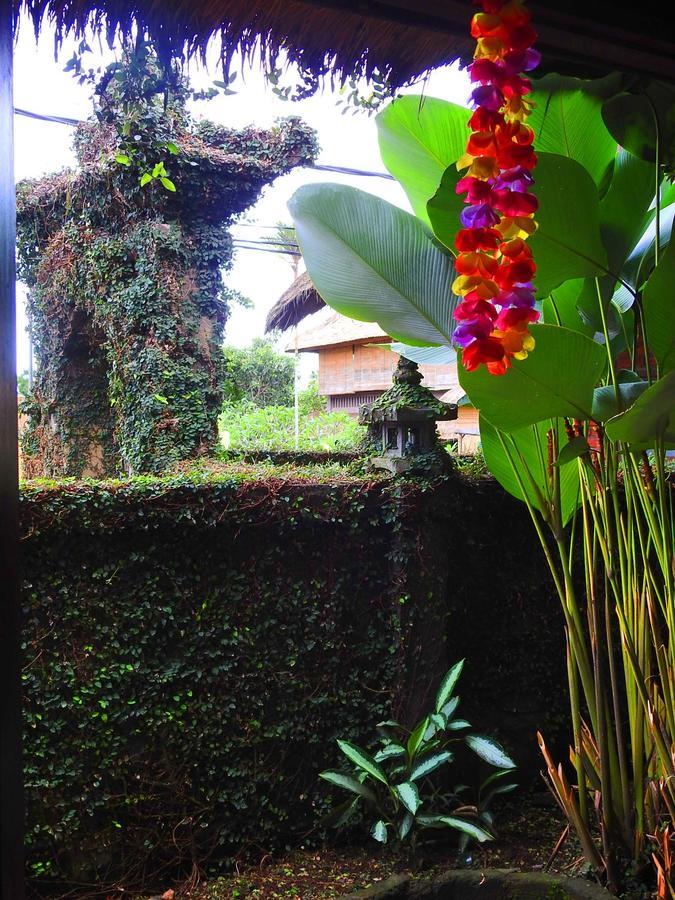 Mandala Hostel Ubud Exteriér fotografie