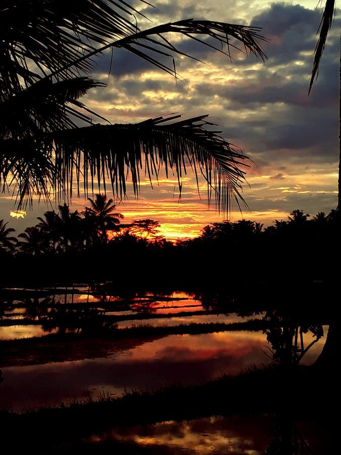 Mandala Hostel Ubud Exteriér fotografie