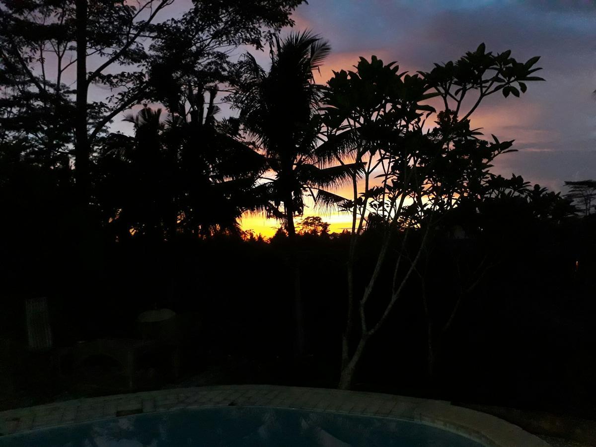 Mandala Hostel Ubud Exteriér fotografie