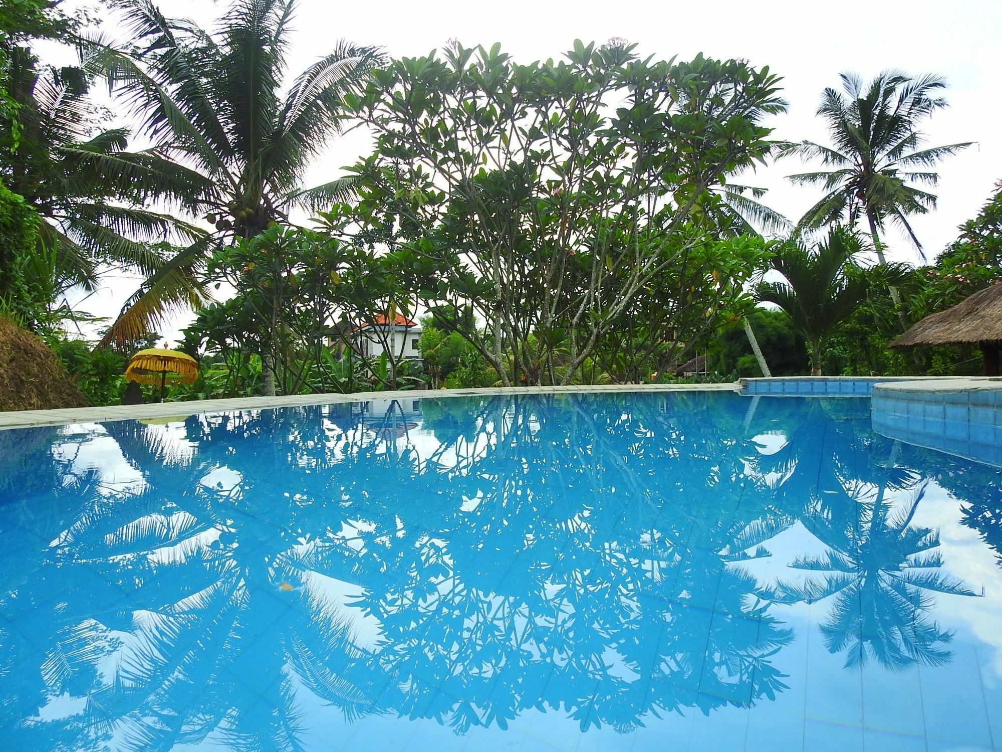 Mandala Hostel Ubud Exteriér fotografie