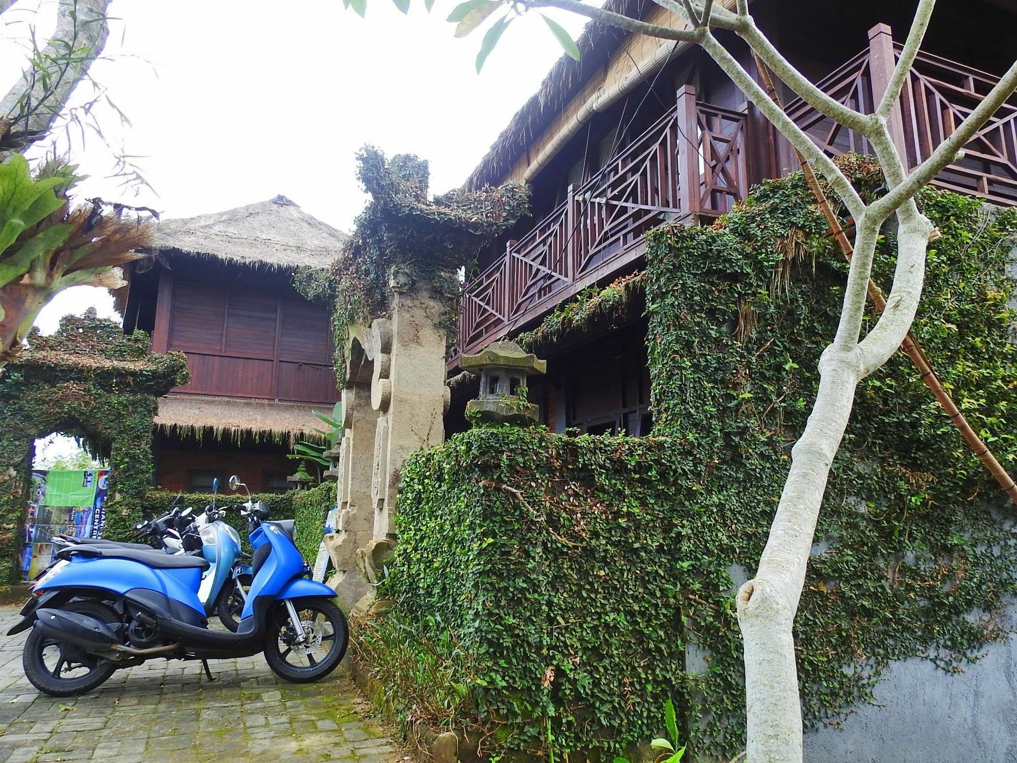Mandala Hostel Ubud Exteriér fotografie